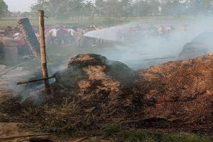 रामपुर: मुर्गी दाने के गोदाम में आग लगने से लाखों का नुकसान, मजदूरों में मचा हड़कंप 