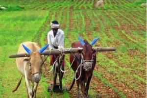 तमिलनाडु ने जैविक कृषि नीति पेश की, रसायन मुक्त खेती को बढ़ावा देने पर जोर 