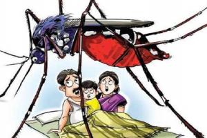 मुरादाबाद : बढ़ने लगे मच्छर, लोगों को मलेरिया-डेंगू का खतरा बढ़ा