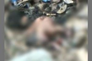 हल्द्वानीः शर्मसार करने वाली घटना आई सामने, कूड़े के ढेर में मिला तीन दिन के नवजात का शव 