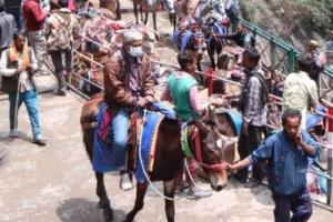 Char Dham Yatra 2023: यात्रा में शामिल होने के लिए घोड़ा-खच्चर संचालकों को दिखानी होगी ग्लैंडर्स रिपोर्ट
