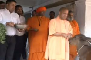 बलरामपुर : CM योगी ने की मां पाटेश्वरी शक्तिपीठ की पूजा, गायों को खिलाया चारा