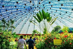 त्रिपुरा: तितली पार्क बना पर्यटन का प्रमुख आकर्षण केंद्र 