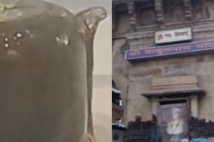 बाबुलनाथ मंदिर के शिवलिंग में दरार, दूध के केमिकल से पहुंच रहा नुकसान, ट्रस्ट ने लगाईं कई पाबंदियां