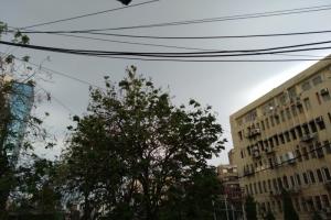 लखनऊ : बादलों के घिरने से दिन में छाया अंधेरा, बारिश से सुहाना हुआ मौसम 