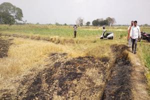 अयोध्या: आग लगने से दो किसानों की चार बीघा गेहूं की फसल जली