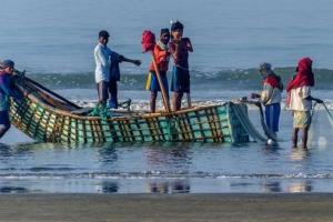 आंध्र प्रदेश ने दो महीने के लिए समुद्र में मछली पकड़ने पर लगाई रोक 