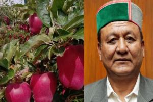किलो के हिसाब से बिकेगा सेब, नियम को सख्ती के साथ करेंगे लागूः जगत सिंह नेगी