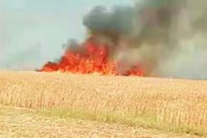 खटीमाः गर्मी शुरू होते ही धधकने लगी आग, दो बीघा गेहूं की फसल जलकर राख