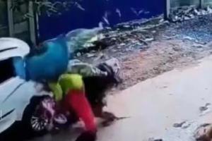 VIDEO : बेरहमपुर के बेरहम कुत्तों का आतंक, बच्चे को स्कूल छोड़ने जा रही महिला के पीछे दौड़े कुत्ते, खड़ी कार से स्कूटर की जोरदार टक्कर