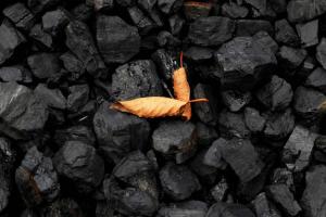भारत का कोयला आयात बीते वित्त वर्ष के पहले 11 महीने में 32 प्रतिशत बढ़कर 14.85 करोड़ टन 
