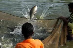 बरेली: मत्स्य पालकों और मछुआरों को आर्थिक रूप से मजबूत करेगी निषादराज बोट सब्सिडी योजना