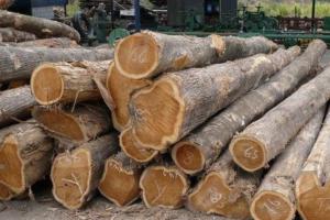 Gadarpur News: बेशकीमती खैर की लकड़ी बरामद, तस्कर फरार, वन अधिनियम के तहत रिपोर्ट दर्ज 