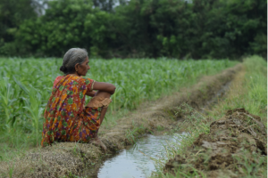 रुद्रपुर: खेत की मेड़ काटने के विवाद में रिपोर्ट दर्ज
