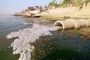 शोधित जल का उपयोग: गंगा नदी तट पर स्थित संयंत्रों और उद्योगों का सर्वेक्षण करायेगी सरकार