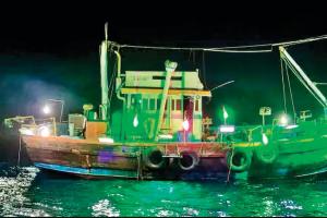समुद्र में LED लाइट का इस्तेमाल कर मछली पकड़ने की मांग पर केंद्र लेगा तकनीकी सलाह : केंद्रीय मंत्री