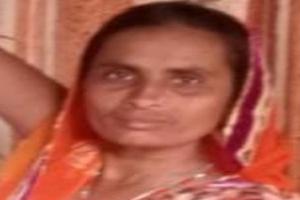 रामपुर: मसवासी में तूफानी आंधी-बारिश में महिला पर आम का पेड़ टूटकर गिरा, मौत 