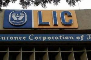 LIC की बाजार पूंजी में 35 प्रतिशत की गिरावट, सरकार का ध्यान एक उद्योगपति को बचाने पर: राहुल