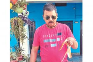 Udham Singh Nagar : शांतिपुरी में मिला दुर्लभ प्रजाति का रेड कोरल सांप, रेस्क्यू कर जंगल में छोड़ा