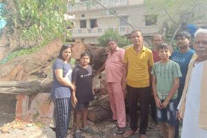 बरेली: इंदिरानगर में नलकूप पर गिरा पेड़, 10 हजार घरों में नहीं पहुंचा पानी