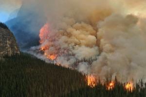 कनाडा में जंगल की आग का धुआं अमेरिकी को कर रहा प्रभावित,   20 राज्यों में वायु गुणवत्ता अलर्ट जारी 