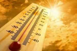 America के टेक्सास में भीषण गर्मी का प्रकोप जारी, लू से अबतक 17 लोगों की मौत