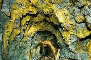 Gold mining : मेक्सिको के पूर्वी वेनेजुएला में सोने की खदान में भरा पानी, 12 श्रमिकों की मौत 