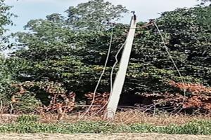 रायबरेली: काटते समय हाईटेंशन लाइन पर गिरा पेड़, बीस हजार की आबादी के सामने छाया बिजली संकट 