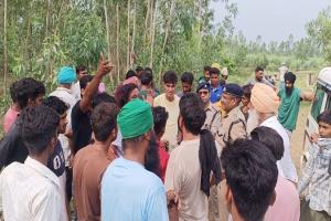 बिजनौर: गुलदार को तलाशने में सात बीघा गन्ने की फसल नष्ट