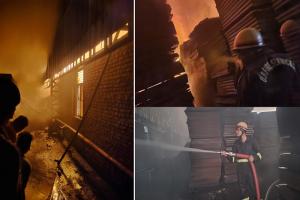 मुरादाबाद : प्लाईवुड फैक्ट्री में लगी भीषण आग, कड़ी मशक्कत के बाद आग पर पाया गया काबू...देखें वीडियो