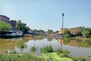 बाजपुर: बारिश का पानी खाली प्लाटों में हुआ जमा 