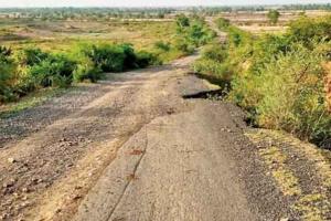 Almora News: वन भूमि का हस्तांतरण नहीं होने से सड़कों का निर्माण अटका, फाइलों में धूल फांक रहे हैं निर्माण के प्रस्ताव