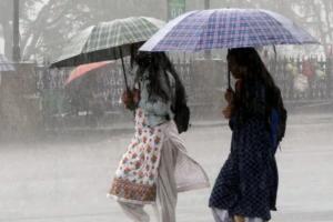 रुद्रपुरः हल्की बारिश से तराई में बढ़ी उमस, लोग परेशान, 1.4 मिलीमीटर बारिश रिकॉर्ड