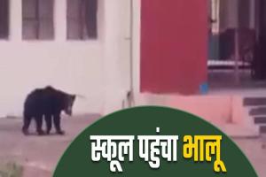 महाराष्ट्र: नांदेड़ जिले में स्कूल में घुसा भालू, वीडियो वायरल