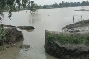 रायबरेली: सिल्ट उठाते समय खोद डाली नहर की पटरी, खेतों में भर पानी, धान को रोपाई हुई बाधित