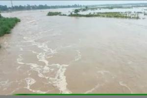 काशीपुर: बाढ़:- हिम्मतपुर के 45 परिवार के 106 लोगों का किया रेस्क्यू