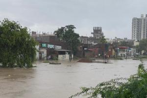पंजाब: पटियाला में बारिश से हालात गंभीर, राजपुरा थर्मल पावर प्लांट में घुसा बाढ़ का पानी 