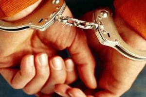 मिर्जापुर पुलिस ने एक महिला सहित 12 गांजा तस्करों को किया गिरफ्तार