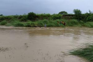 Gadarpur News: बौर नदी में बहा बुजुर्ग, SDRF की 30 सदस्यीय टीम व पीएसी ने शुरू किया सर्च अभियान