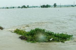 स्वास्थ्य मंत्री ने बाढ़ राहत के लिए मुख्यमंत्री राहत कोष में एक महीने का किया वेतन दान 
