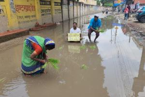 वाराणसी: भगवानपुर छित्तुपुर मुख्य मार्ग पर जलजमाव, विरोध में रोपे धान 