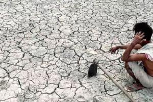 कम बारिश के कारण सूखे जैसे हालात की तरफ बढ़ रहा झारखंड राज्य