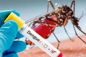 जालंधर के 369 घरों में मिला डेंगू का लार्वा, डेंगू सर्वेक्षण के लिए 12 टीमें गठित