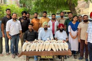 पंजाबः फाजिल्का से 20 किलो हेरोइन बरामद, दो गिरफ्तार 