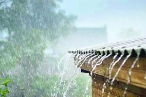 भारी बारिश से सिरमौर जिले में सात की मौत, 14 घायल, 255 करोड़ नुकसान का आकलन