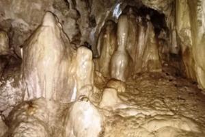 कुड्ड में नागेश्वर महादेव की है धार्मिक प्राचीन गुफा, श्रद्धालुओं को करती है आकर्षित 