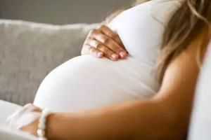 बरेली: हर चौथी गर्भवती महिला में प्लेटलेट्स की कमी, संस्थागत प्रसव पर पड़ रहा असर
