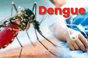 हल्द्वानी: पहले शतक के करीब डेंगू, नौ नए मरीज मिले