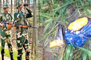 BSF को मिली बड़ी सफलता, फिरोजपुर में दो किग्रा हेरोइन की बरामद