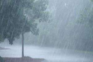 UP Weather : कई जिलों में तेज बारिश की संभावना, बिजली गिरने का अलर्ट जारी 